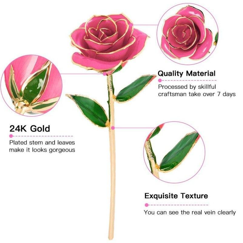 24K Gold Dipped Rose